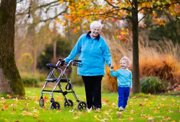 Senior senhora com walker desfrutar de visita familiar — Fotografia de Stock
