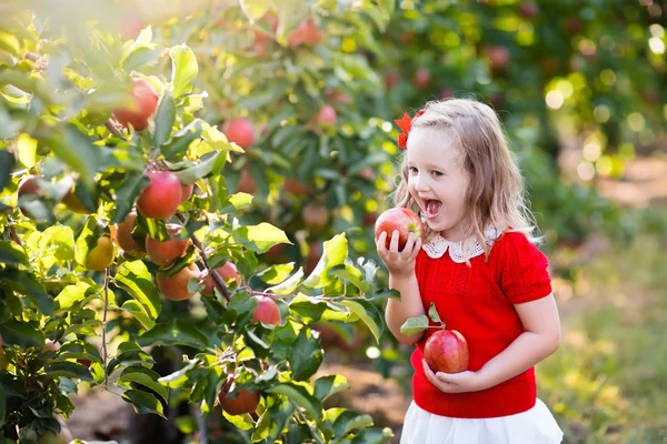 Gadis kecil memetik apel di kebun buah — Stok Foto