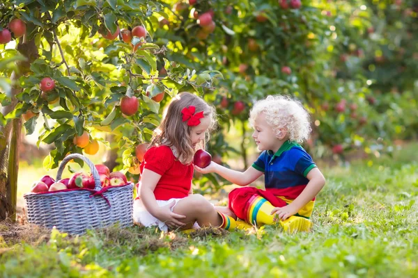 Dzieci zbieranie jabłek w ogrodzie owoców — Zdjęcie stockowe