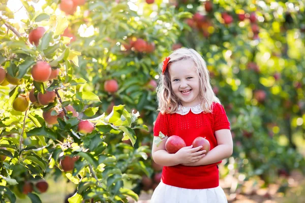 Gadis kecil memetik apel di kebun buah — Stok Foto