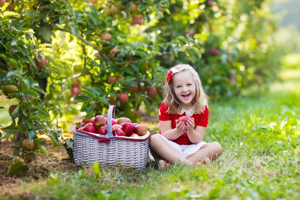 Niña recogiendo manzanas en el jardín de frutas —  Fotos de Stock