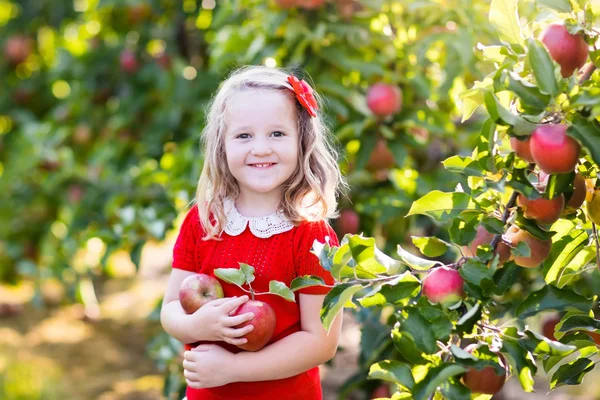 Little girl picking apple in fruit garden — Stock Photo, Image