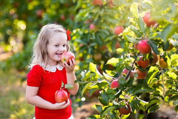 Gadis kecil memetik apel di kebun buah — Stok Foto