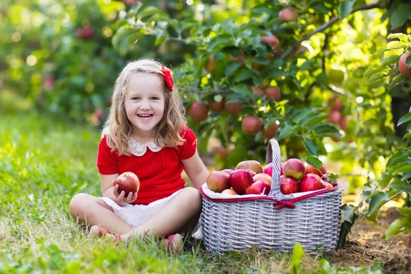 Gadis kecil memetik apel di kebun buah — Stok Foto