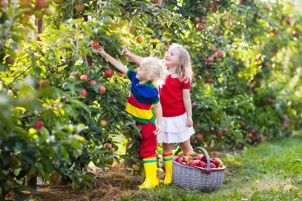 Děti při sbírání jablek v ovocné zahradě — Stock fotografie