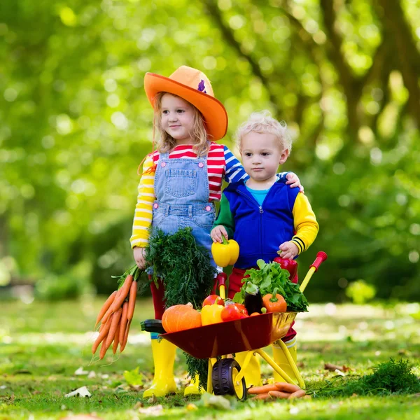 Dzieci zbieranie warzyw na gospodarstwo ekologiczne — Zdjęcie stockowe