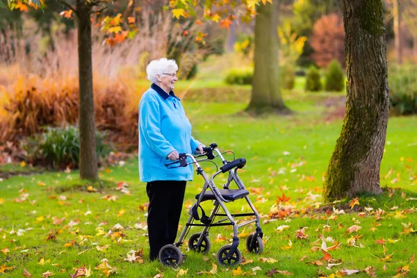 Старшая леди с ходунком в осеннем парке — стоковое фото