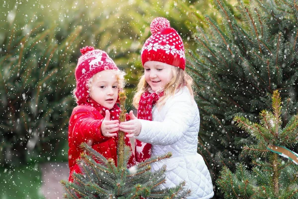 Noel Ağacını Seçen Aile Çocuklar Açık Hava Parkında Yeni Kesilmiş — Stok fotoğraf