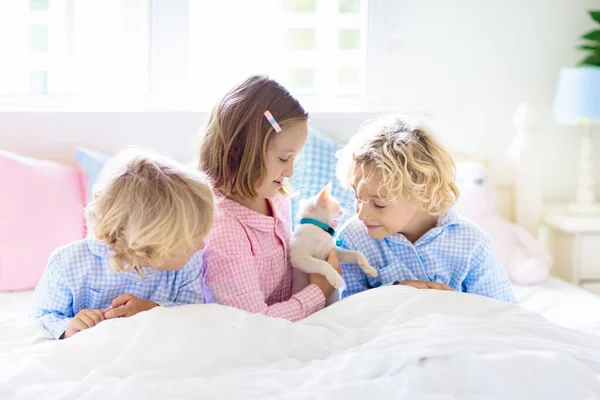 Lapset Leikkivät Kissanpennun Kanssa Sängyssä Valkoisessa Makuuhuoneessa Poika Pitelee Valkoista — kuvapankkivalokuva