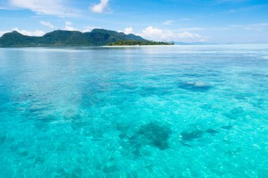 Hindistan cevizi palmiyeli tropik bir ada. Kumsal ve deniz eğlencesi. Güzel kıyı şeridinin manzarası. Okyanus tatili. Cennette yaz. Asya 'ya git. Temiz su ve beyaz kum. Rüya gibi bir tatil yeri.