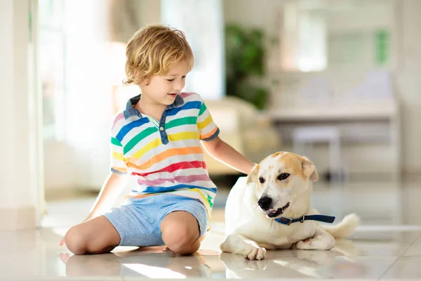 Niño Jugando Con Perro Bebé Los Niños Juegan Con Cachorro — Foto de Stock