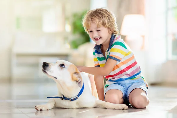 Çocuk Yavru Köpekle Oynuyor Çocuklar Köpek Yavrusuyla Oynar Küçük Çocuk — Stok fotoğraf