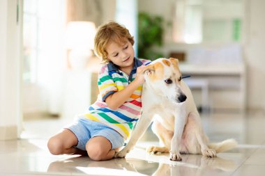 Çocuk yavru köpekle oynuyor. Çocuklar köpek yavrusuyla oynar. Küçük çocuk ve büyük köpek evde. Çocuklar ve arkadaşlık. Çocuk evcil hayvanıyla yerde oturuyor. Hayvan bakımı..