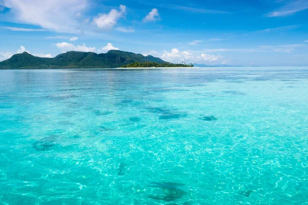 Tropische Insel Mit Kokospalmen Spaß Strand Und Meer Malerischer Blick — Stockfoto