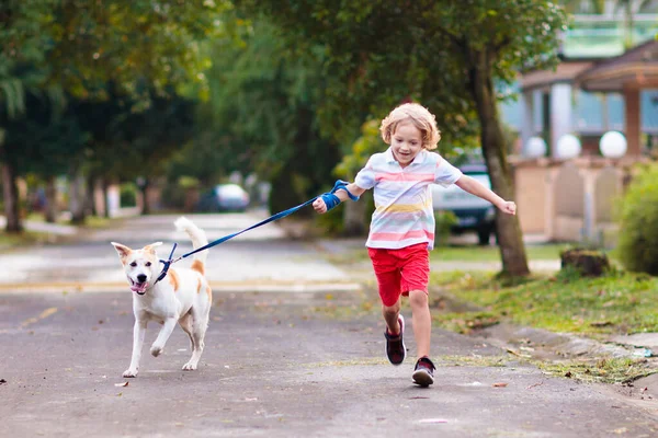 Çocuk Gezdiren Köpek Çocuk Köpek Yavrusuyla Oynuyor Küçük Çocuk Evcil — Stok fotoğraf