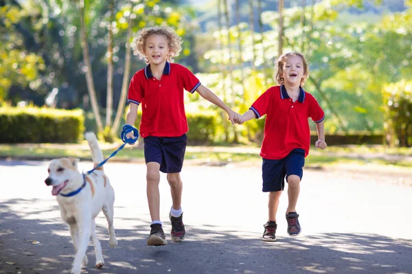 Child Walking Dog Kid Playing Cute Puppy Little Boy Running — Stock Photo, Image