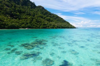 Hindistan cevizi palmiyeli tropik bir ada. Kumsal ve deniz eğlencesi. Güzel kıyı şeridinin manzarası. Okyanus tatili. Cennette yaz. Asya 'ya git. Temiz su ve beyaz kum. Rüya gibi bir tatil yeri.