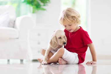 Çocuk yavru köpekle oynuyor. Çocuklar köpek yavrusuyla oynar. Küçük çocuk ve Amerikan cocker spaniel evdeki kanepede. Çocuklar ve evcil hayvanlar evde. Çocuk evcil hayvanıyla yerde oturuyor. Hayvan bakımı..
