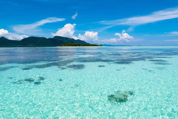 Ilha Tropical Com Coqueiro Praia Mar Divertido Vista Panorâmica Bela — Fotografia de Stock