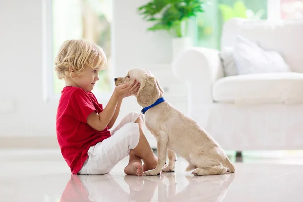 Çocuk Yavru Köpekle Oynuyor Çocuklar Köpek Yavrusuyla Oynar Küçük Çocuk — Stok fotoğraf