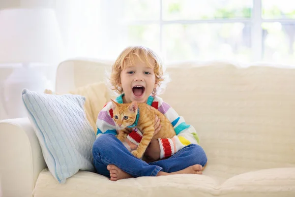 Παιδί Παίζει Γάτα Παιδί Κρατάει Γατάκι Μικρό Αγόρι Αγκαλιάζει Χαριτωμένο — Φωτογραφία Αρχείου