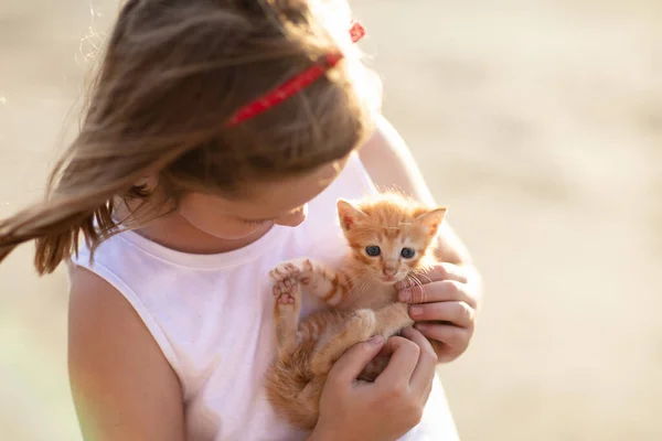 Dítě Drží Kočku Děti Zvířata Holčička Objímající Roztomilé Koťátko Letní — Stock fotografie