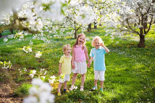 Kinder Spielen Frühlingspark Kinder Laufen Sonnigen Garten Mit Blühenden Kirsch — Stockfoto