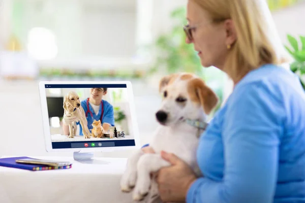 Online consultation with veterinarian. Vet examining animal via video chat. Dog check up during quarantine. Veterinary doctor checking pet in conference call. Remote medicine and emergency assistance.