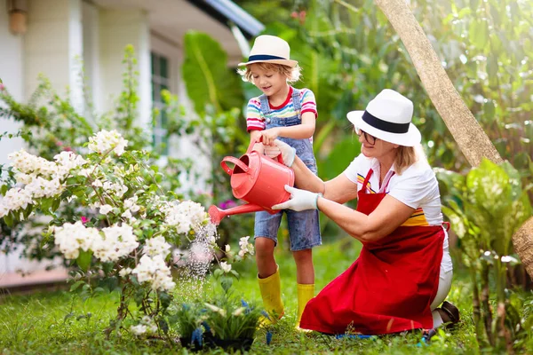 Jardinería Mujeres Niños Abuela Niño Pequeño Sombrero Sol Regar Plantas — Foto de Stock