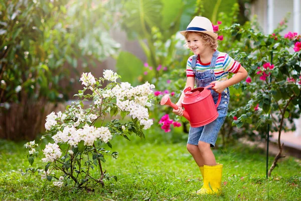 子供の園芸 赤い散水の小さな男の子は日当たりの良い庭を開花させることができます 子供たちは裏庭で助けます 夏の屋外の楽しみ 植物や花の世話をする子供 — ストック写真