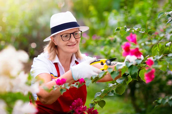 Jardinería Mujeres Mayores Señora Jubilada Sombrero Sol Regando Plantas Jardín — Foto de Stock