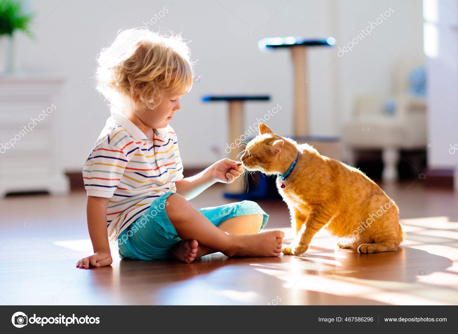 uma coleção de gatos fofos brincando na sala de estar, ótimo para