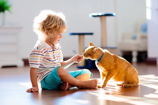 Çocuk Evde Kediyle Oynuyor Çocuklar Evcil Hayvanlar Küçük Çocuk Zencefil — Stok fotoğraf