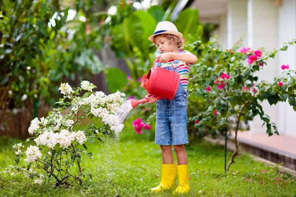 儿童园艺 红色浇水的小男孩能在阳光灿烂的花园里盛开 孩子们在后院帮忙 夏天户外的乐趣 照顾花草树木的小孩 — 图库照片
