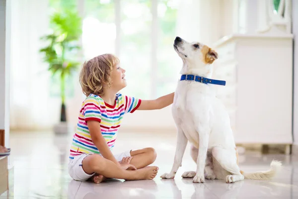 赤ちゃん犬と遊ぶ子供 子供は子犬と遊ぶ 家に小さな男の子と大きな犬 子供と友情 子供はペットと床に座っている 動物愛護 — ストック写真