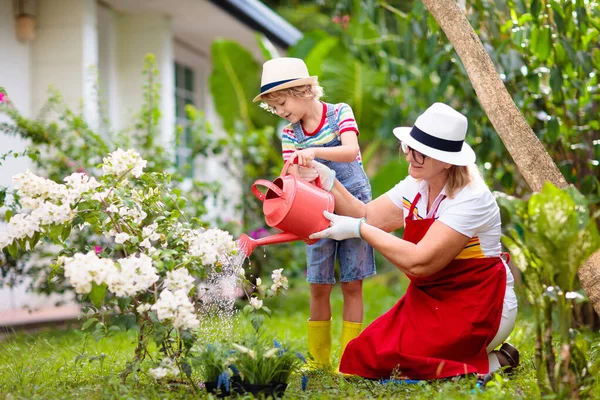 Jardinería Mujeres Niños Abuela Niño Pequeño Sombrero Sol Regar Plantas — Foto de Stock