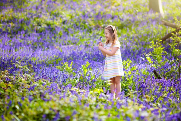 Kid Playing Bluebell Woods Child Watching Protected Plants Bluebell Flower — Stock Photo, Image