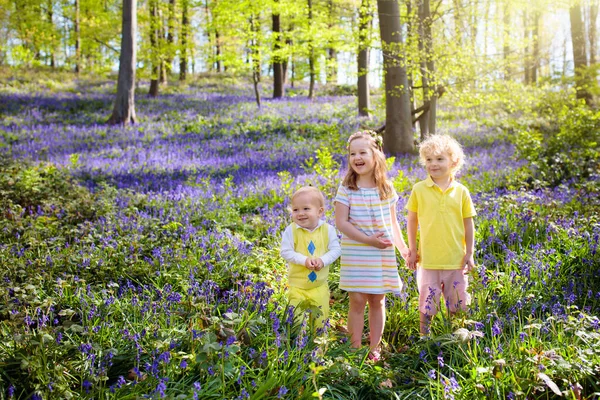 Barn Leker Blåklockornas Skog Barn Tittar Skyddade Växter Blåklocka Blomma — Stockfoto