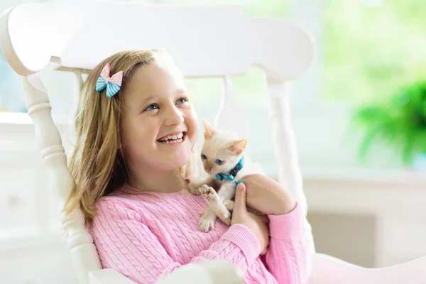 Child Playing Baby Cat Kid Holding White Kitten Little Girl — Stock Photo, Image