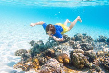 Çocuk şnorkelle yüzüyor. Çocuklar su altında yüzer. Çocuklarla plaj ve deniz tatili. Küçük kız mercan resifi balıklarını izliyor. Egzotik adada deniz yaşamı. Çocuk yüzüyor ve şnorkel ve maskeyle dalıyor..