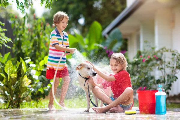 Çocuklar Yaz Bahçesinde Köpekleri Yıkarlar Çocuk Için Hortumu Fıskiye Eğlencesi — Stok fotoğraf