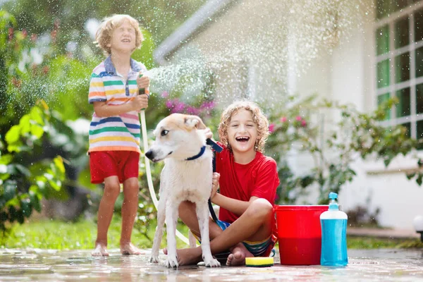 Çocuklar Yaz Bahçesinde Köpekleri Yıkarlar Çocuk Için Hortumu Fıskiye Eğlencesi — Stok fotoğraf