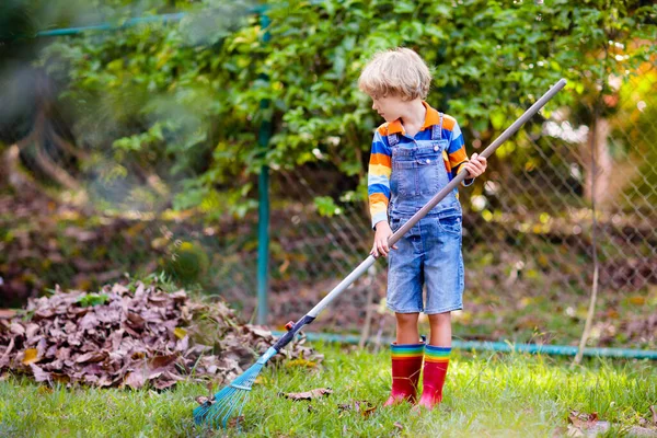 Child and rake in autumn garden. Kid raking leaves in fall. Gardening in foliage season. Little boy helping with backyard cleaning. Leaf pile on lawn. Kids help with chores. Children play outdoor.