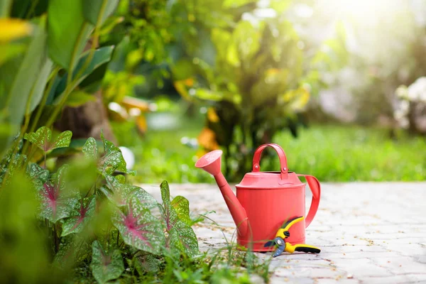 Garden Tools Gardening Summer Watering Can Shears Blooming Backyard Planting — Foto de Stock