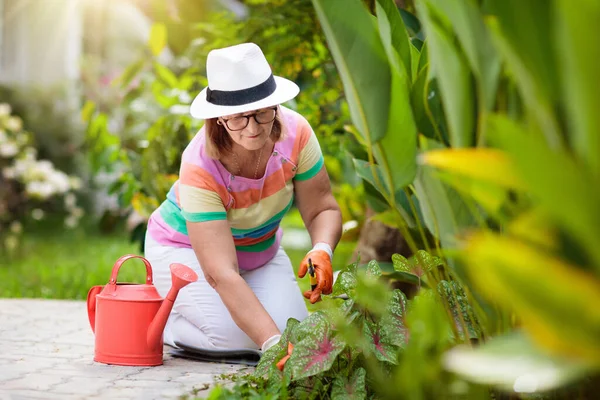 Jardinería Mujeres Mayores Señora Jubilada Sombrero Sol Regando Plantas Jardín — Foto de Stock