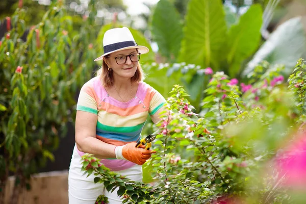 Jardinería Mujeres Mayores Señora Jubilada Sombrero Sol Regando Plantas Jardín — Foto de Stock