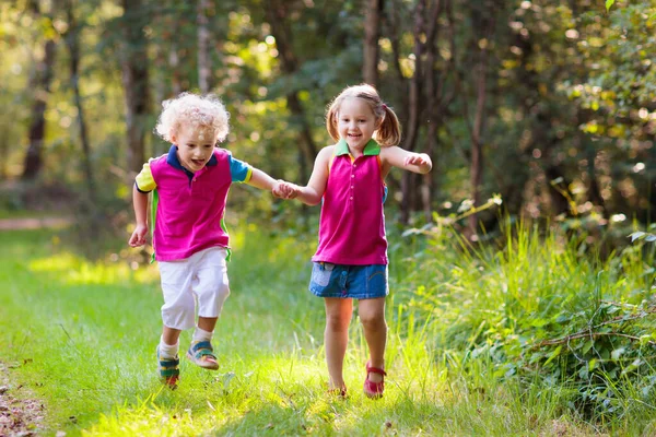 子供たちは 森や山でのハイキングします 子供は 夏の屋外プレイします 男の子と国立公園のハイキング道で女の子 屋外の楽しさと健康的な活動 — ストック写真