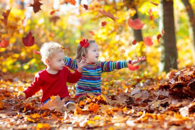 Sonbahar parkında bir çocuk. Sarı yapraklı küçük kız. Çocuk altın yapraklarla oynuyor. Çocuklar dışarıda oynuyor. Ormanda yürüyüş yapan çocuklar. Güneşli bir Ekim gününde, bir akçaağacın altında küçük bir çocuk..