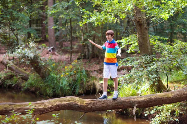 Niños Haciendo Senderismo Los Alpes Cruzando Río Los Niños Juegan — Foto de Stock