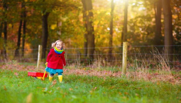 Les Enfants Jouent Dans Parc Automne Enfant Cueillant Des Feuilles — Photo